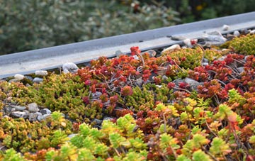 the cost of Great Bealings green roof installation