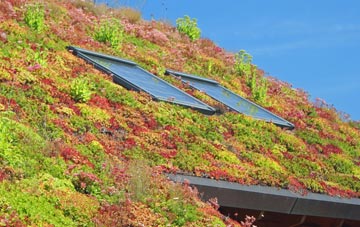 Great Bealings living roof systems