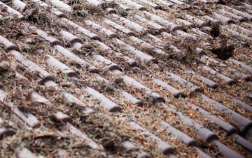 Great Bealings roof cleaning companies