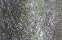 Great Bealings fibreglass roof work
